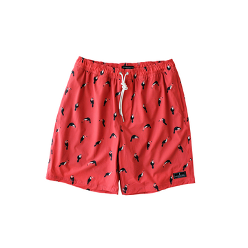 Pants-Beach shorts 01